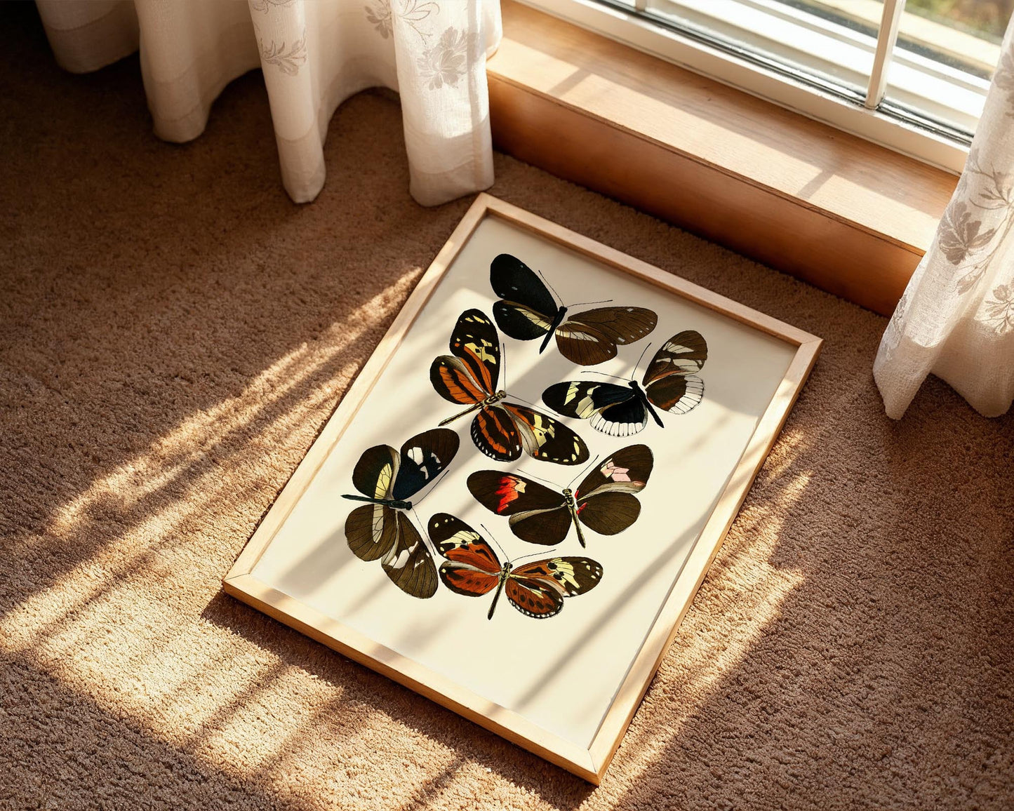 Vintage Butterfly Study II – Natural History Wall Art Print