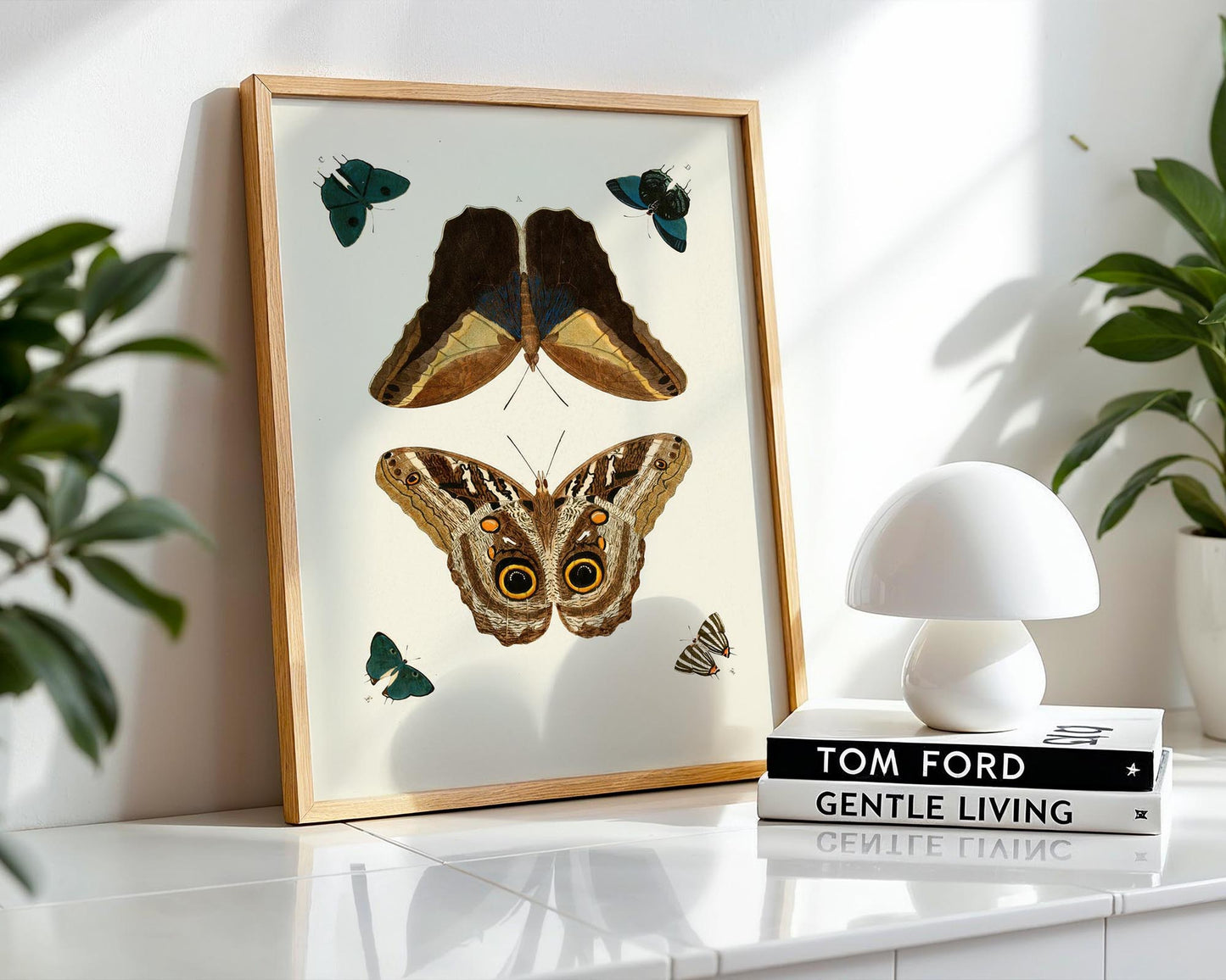 Vintage Butterfly Study – Natural History Wall Art Print