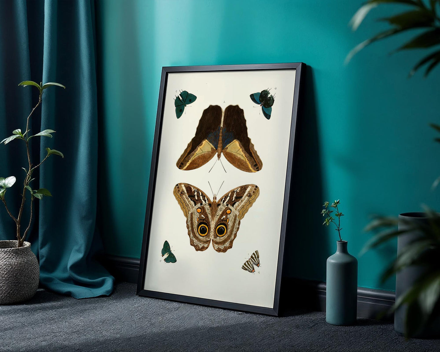 Vintage Butterfly Study – Natural History Wall Art Print