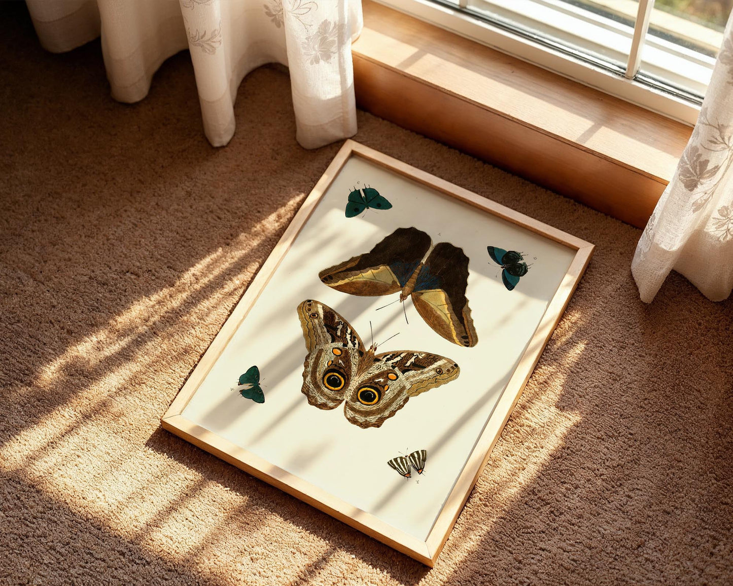 Vintage Butterfly Study – Natural History Wall Art Print