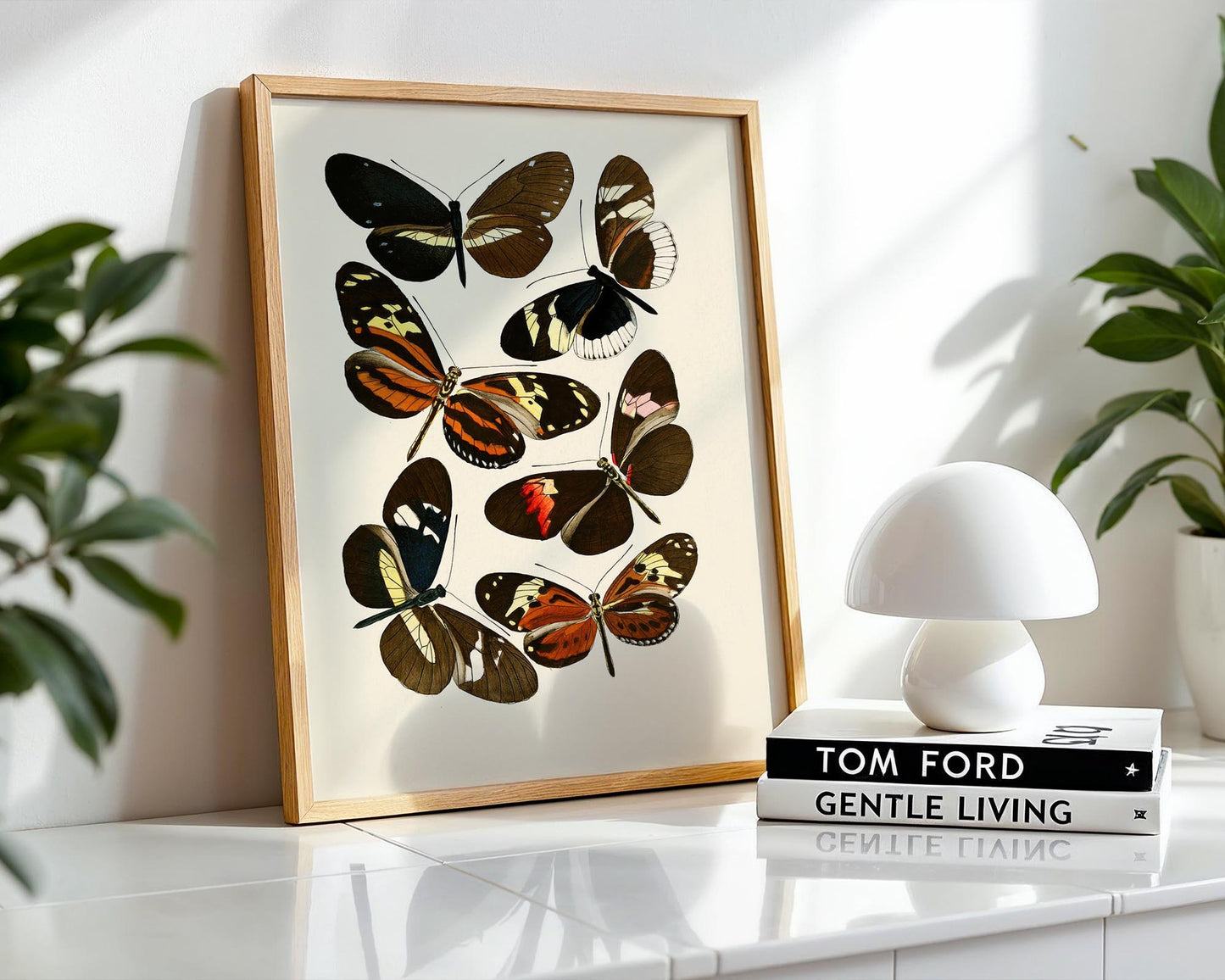 Vintage Butterfly Study II – Natural History Wall Art Print