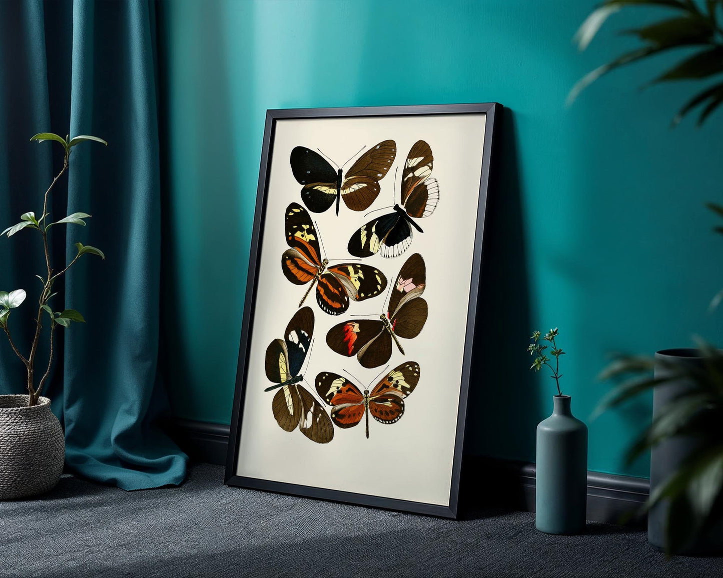 Vintage Butterfly Study II – Natural History Wall Art Print
