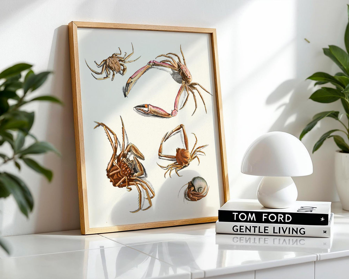 Vintage Crab Study – Coastal Marine Wall Art Print