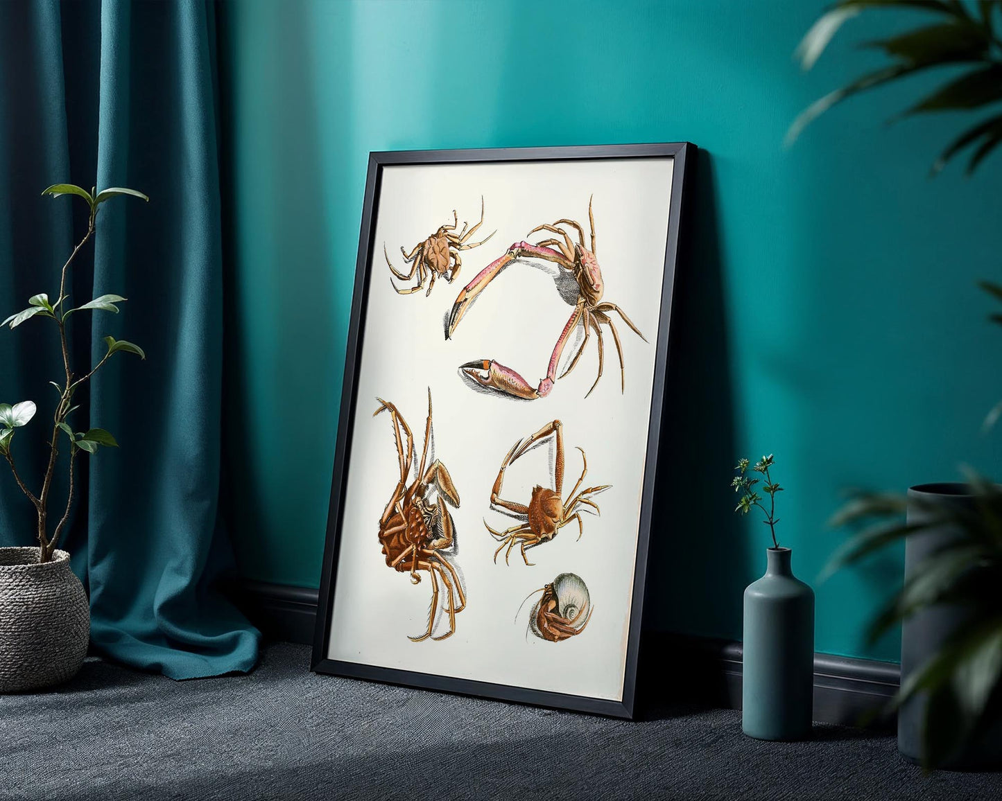 Vintage Crab Study – Coastal Marine Wall Art Print