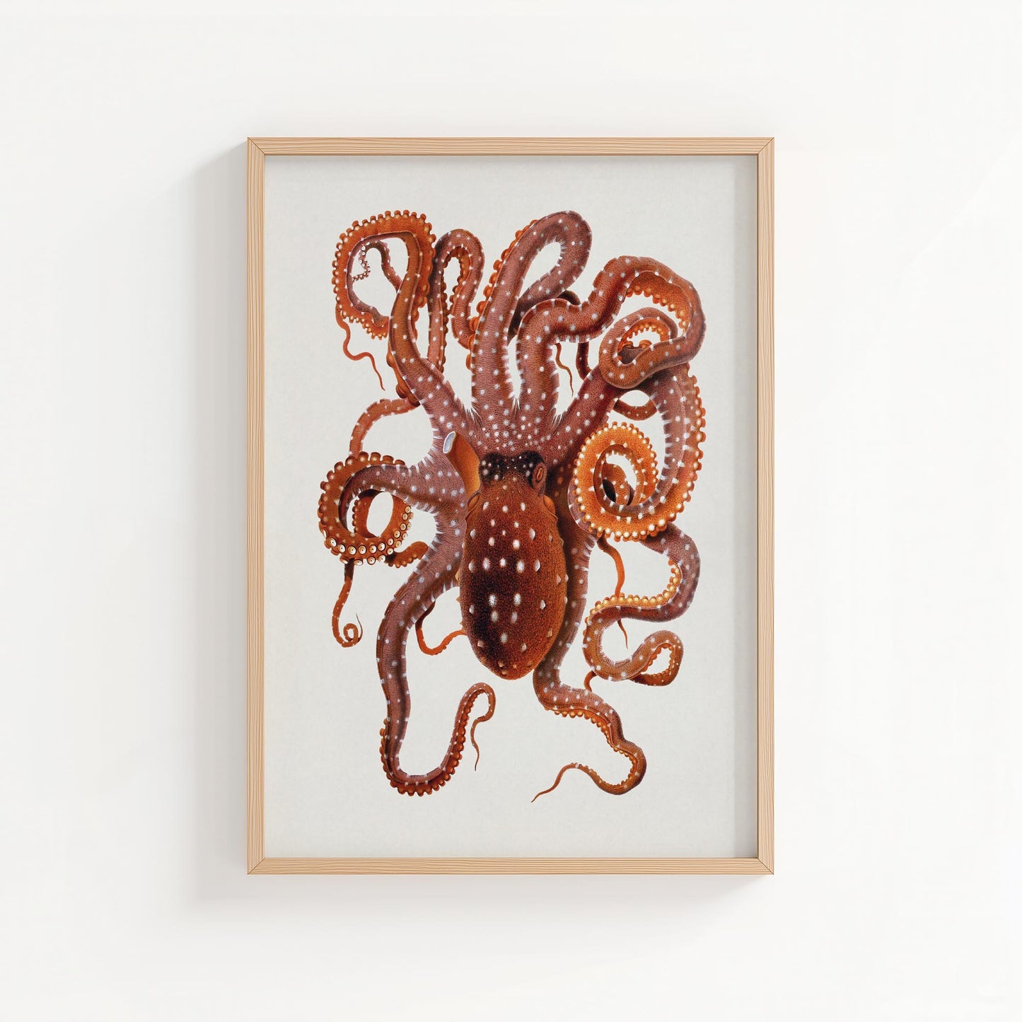 Vintage Octopus – Coastal Marine Wall Art Print