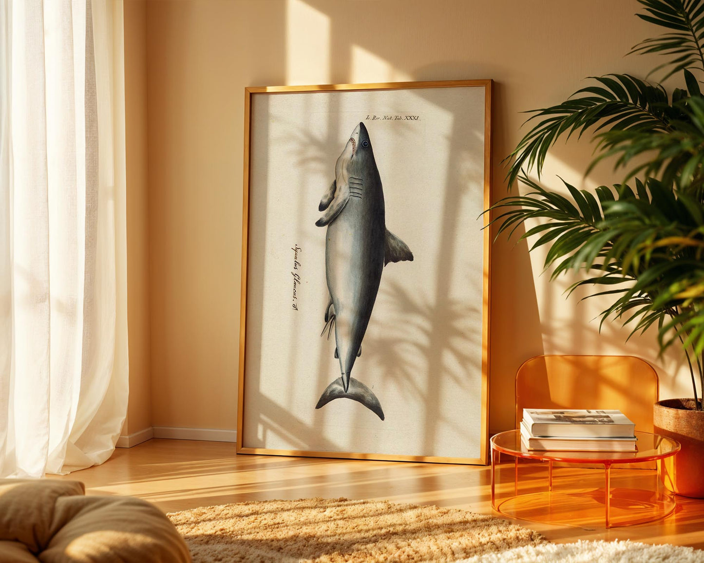 Vintage Shark Illustration – Coastal Natural History Wall Art Print