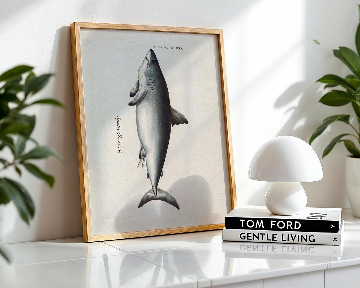Vintage Shark Illustration – Coastal Natural History Wall Art Print