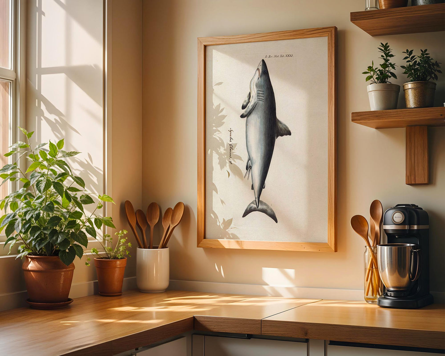 Vintage Shark Illustration – Coastal Natural History Wall Art Print