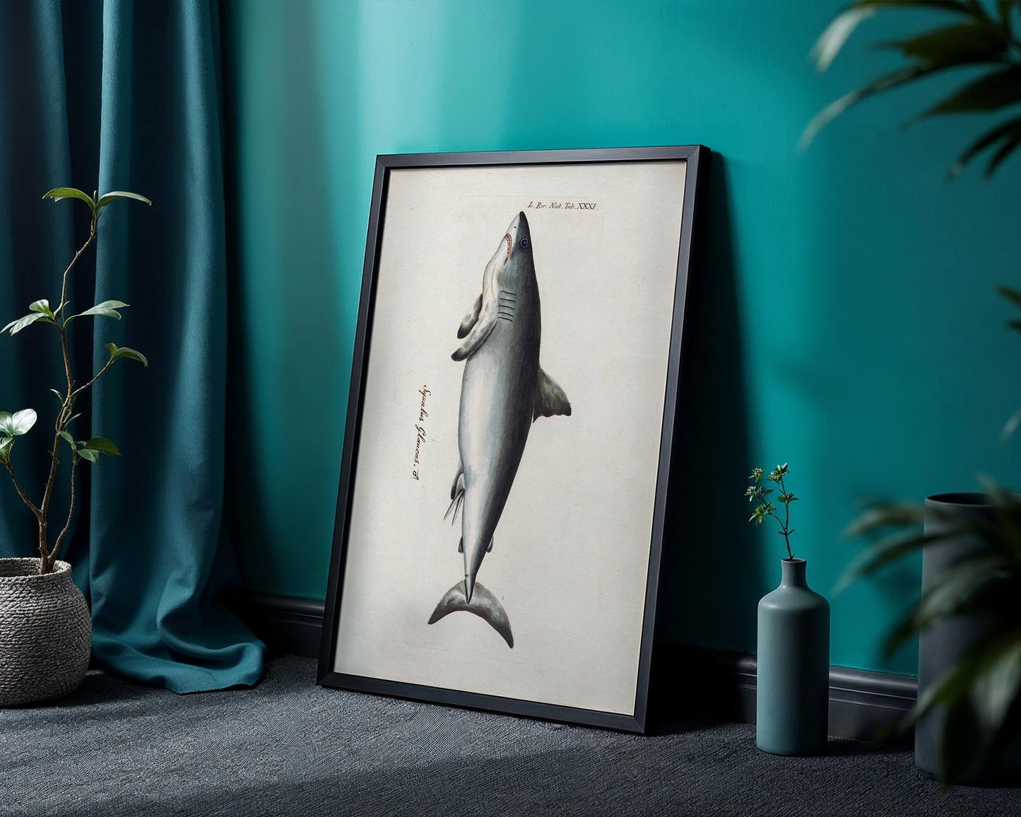 Vintage Shark Illustration – Coastal Natural History Wall Art Print
