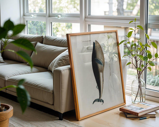 Vintage Whale Illustration – Natural History Wall Art Print