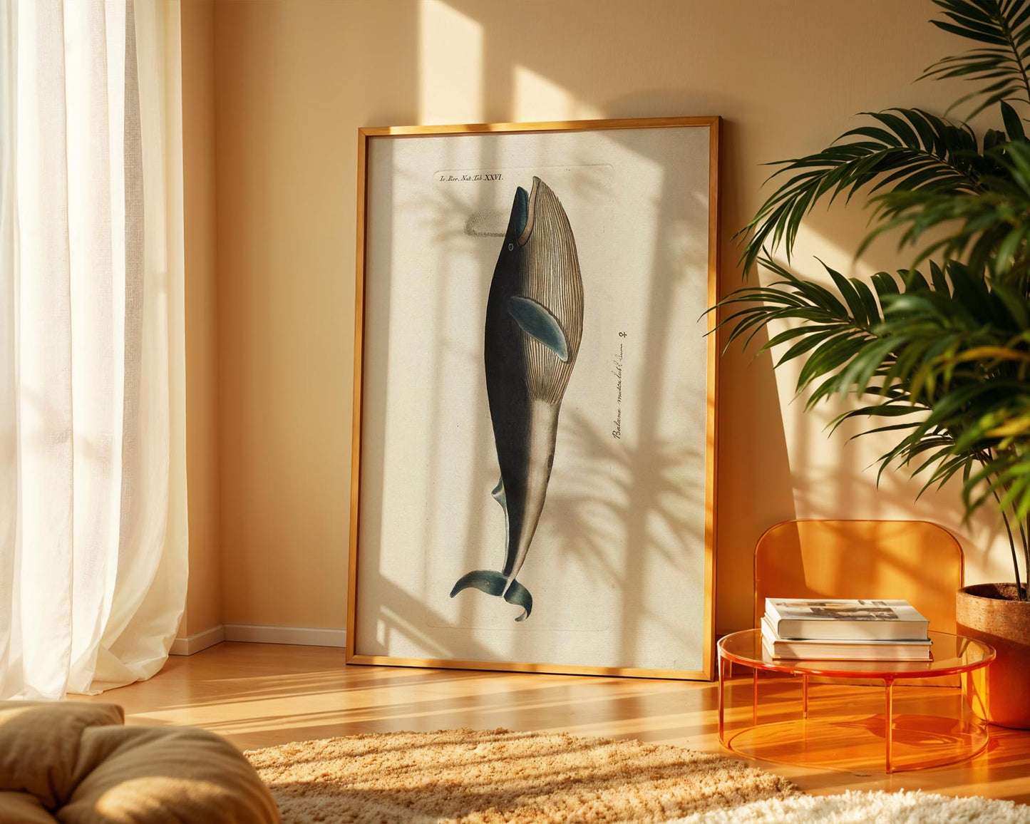 Vintage Whale Illustration – Natural History Wall Art Print