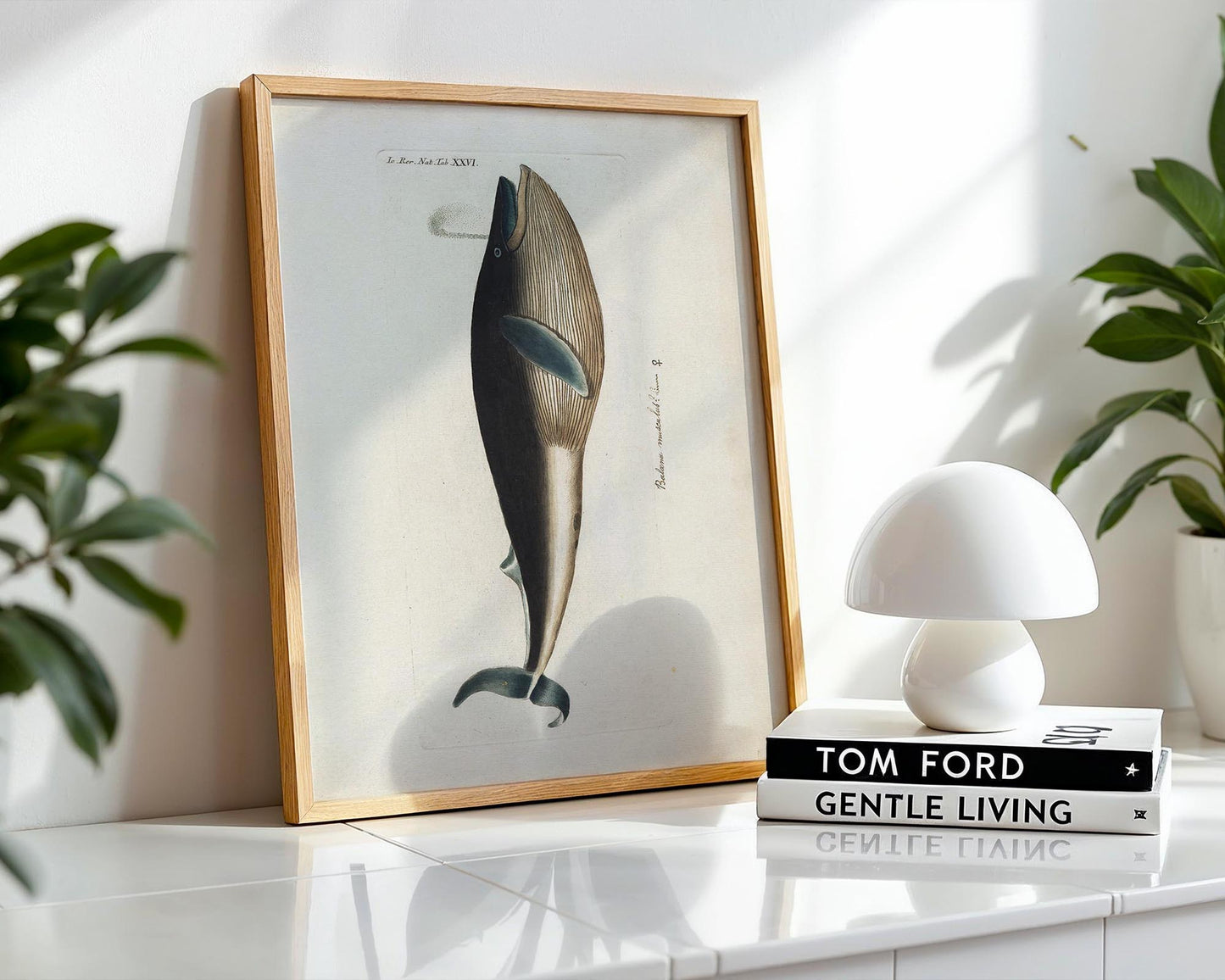 Vintage Whale Illustration – Natural History Wall Art Print